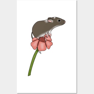 Cute brown gerbil on a flower Posters and Art